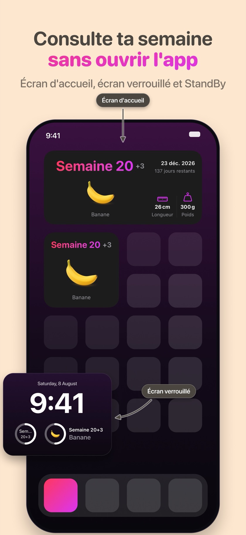 Widgets de semaine de grossesse sur l’écran d’accueil et l’écran verrouillé de l’iPhone